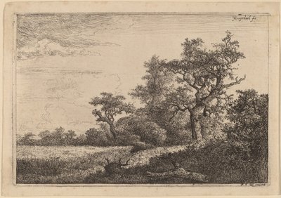 Graanveld aan de Rand van een Bos door Jacob van Ruisdael