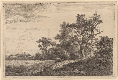Graanveld aan de Rand van een Bos door Jacob van Ruisdael