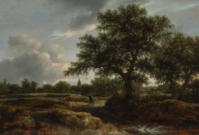 Landschap met een dorp in de verte, 1646 door Jacob van Ruisdael