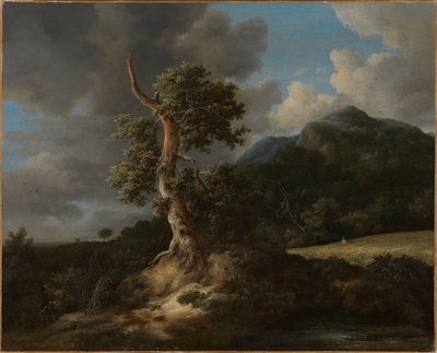  door Jacob van Ruisdael