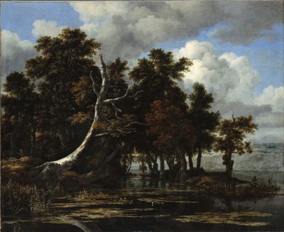 Eiken aan een meer met waterlelies door Jacob van Ruisdael