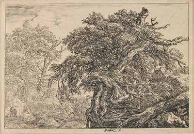  door Jacob van Ruisdael