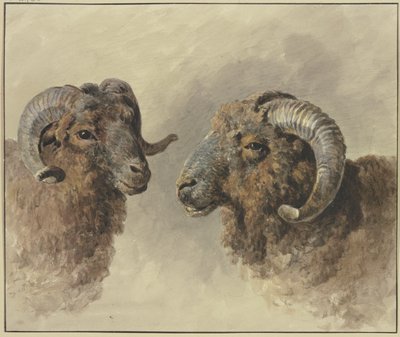 Twee schapen door Jacob van Strij