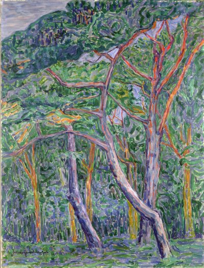 Pijnbomen door Jacoba van Heemskerck
