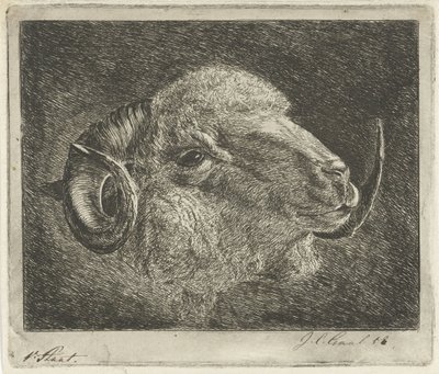 Kop van een ram met naar achteren gedraaide hoorns door Jacobus Cornelis Gaal (signed by artist)