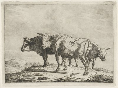 Drie ossen door Jacobus Cornelis Gaal