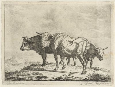 Drie ossen door Jacobus Cornelis Gaal