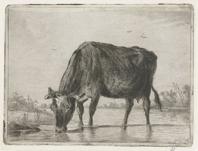 Drinkende koe door Jacobus Cornelis Gaal