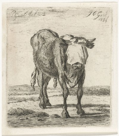 Geblinddoekte stier door Jacobus Cornelis Gaal