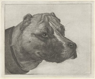 Hondekop met halsband door Jacobus Cornelis Gaal