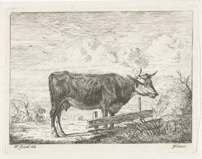 Koe, staand bij een hek door Jacobus Cornelis Gaal