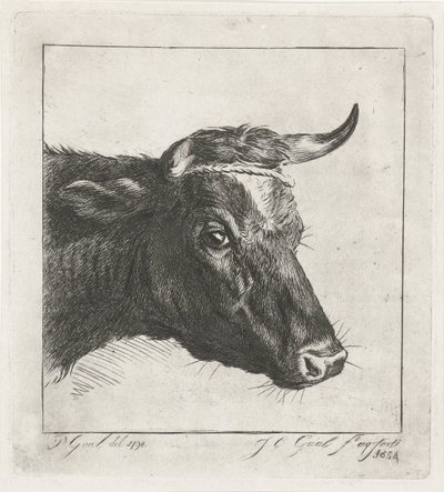 Kop van een koe met touw om de horens door Jacobus Cornelis Gaal