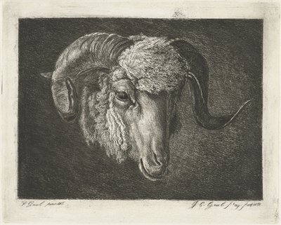Kop van een ram met kromme horens door Jacobus Cornelis Gaal