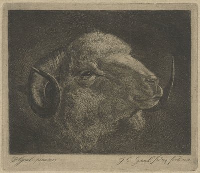 Kop van een ram met naar achteren gedraaide hoorns door Jacobus Cornelis Gaal