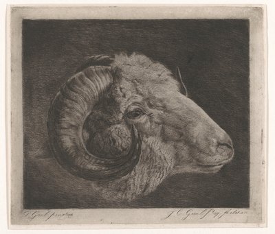 Kop van een ram met naar het oog gekromde hoorn door Jacobus Cornelis Gaal