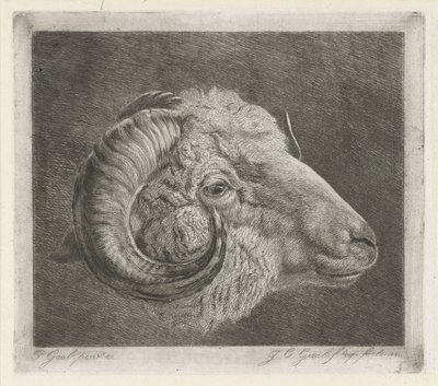 Kop van een ram met naar het oog gekromde hoorn door Jacobus Cornelis Gaal