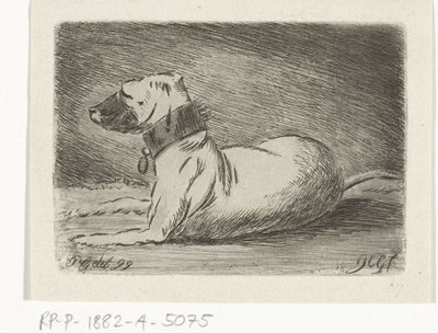 Liggende hond met halsband door Jacobus Cornelis Gaal
