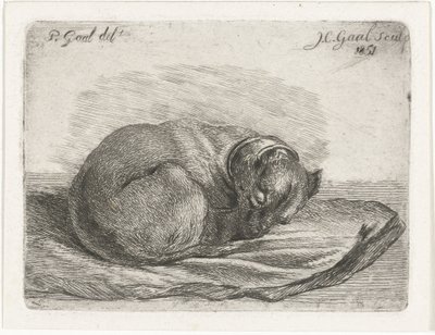 Slapende hond, liggend op een deken door Jacobus Cornelis Gaal