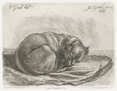 Slapende hond, liggend op een deken door Jacobus Cornelis Gaal