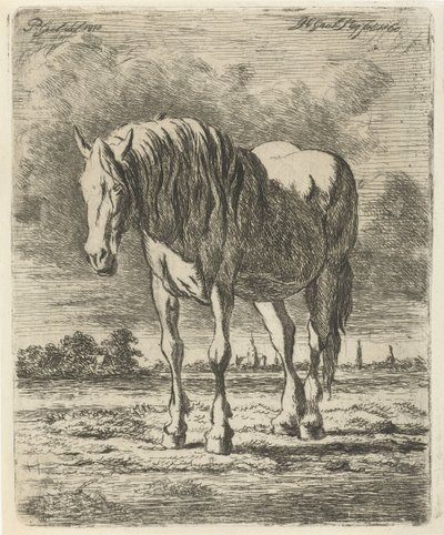 Staand wit paard door Jacobus Cornelis Gaal