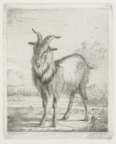 Staande geit door Jacobus Cornelis Gaal