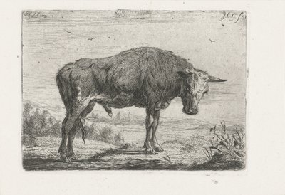 Staande stier door Jacobus Cornelis Gaal