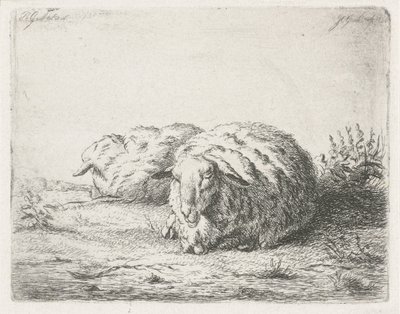 Twee liggende schapen door Jacobus Cornelis Gaal