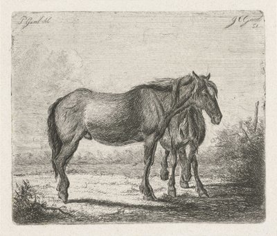 Twee paarden door Jacobus Cornelis Gaal
