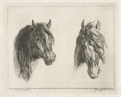 Twee paardenhoofden door Jacobus Cornelis Gaal