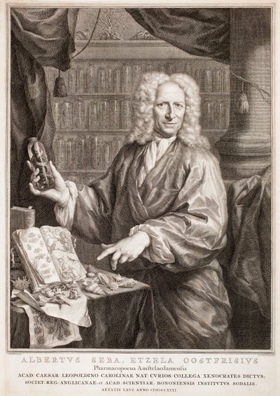  door Jacobus Houbraken