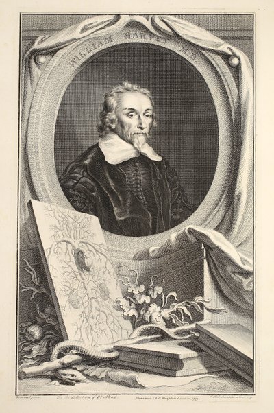 Portret van William Harvey, illustratie uit 