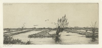 Veenplas door Jacobus Ludovicus Cornet