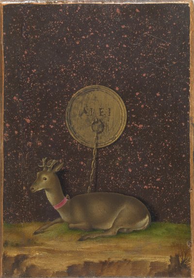 Portret van Alvise Contarini(); (verso) Een vastgebonden Roebuck door Jacometto Veneziano