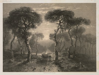 Oeuvres de A. Calame, No. 13: Forêt de Sierre en Valais door Jacomme and Cie. R. de Lancry, 12, Paris