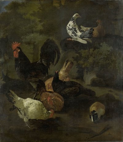 Een haan, kippen, duiven en een marmot door Jacomo Victors