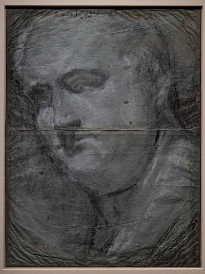 Portret van Vitellio Grimani door Jacopo (1510 92) Bassano