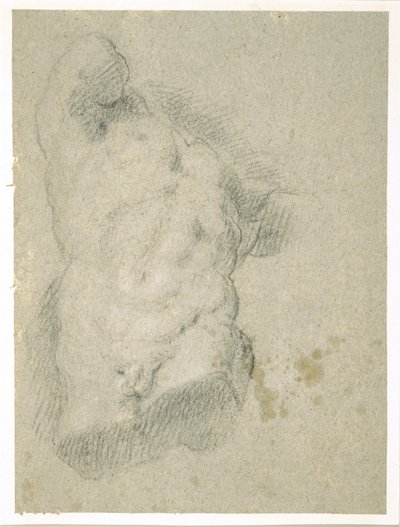 Tekening van een Mannelijke Torso (houtskool op blauw papier) door Jacopo Bassano
