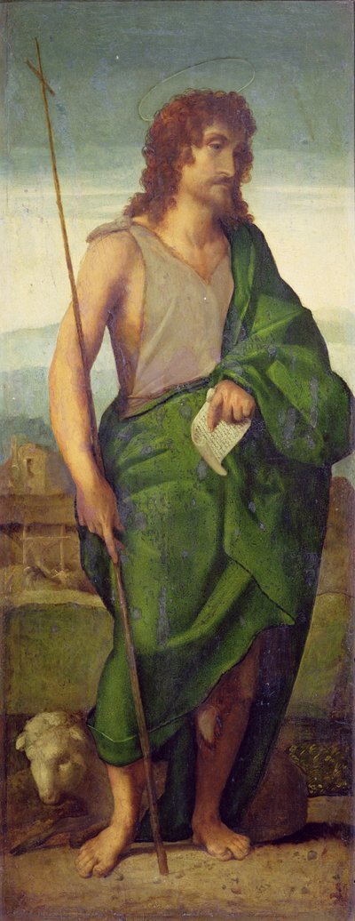 Johannes de Doper (olieverf op paneel) door Jacopo (c.1480-1528) Palma