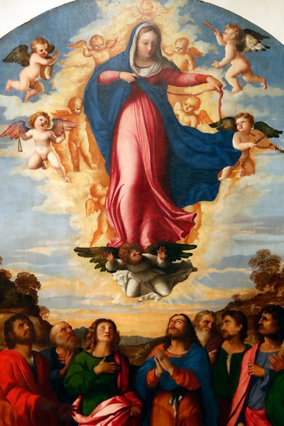De tenhemelopneming van de Maagd door Jacopo (c.1480 1528) Palma