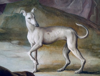 Hond, detail uit fresco door Jacopo Guarana (1720-1808), centrale hal van Villa Contarini, Valnogaredo, Veneto, Italië door Jacopo Guarana