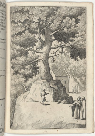 Beuk met de Bel (Faggio della campana) [plaat X] door Jacopo Ligozzi