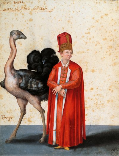 Slaaf met struisvogel, tekening door Jacopo Ligozzi door Jacopo Ligozzi