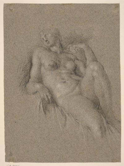Kopie naar Michelangelo