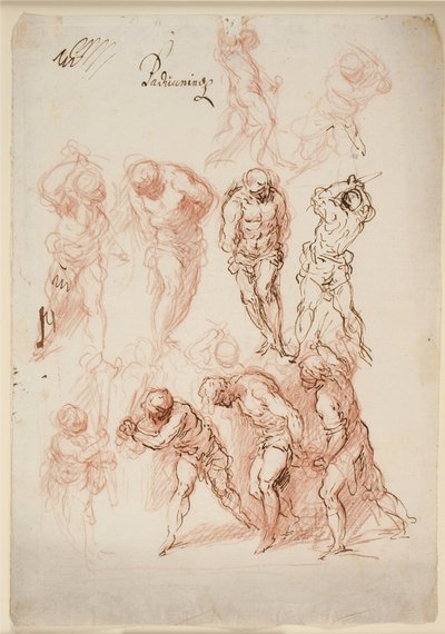 Studies voor een geseling door Jacopo Palma
