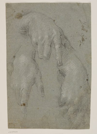 Drie studies van een rechterhand door Jacopo Palma