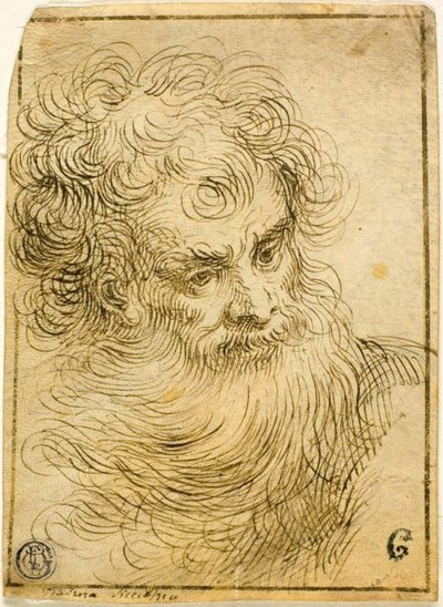 Hoofd van bebaarde oude man (recto); Decoratieve schets van bloem en bladeren (verso) door Jacopo Palma il Giovane