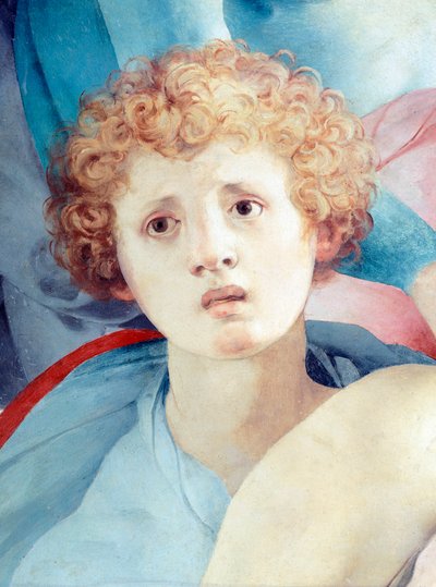 Gezicht van jonge man, detail van De Kruisafneming, door Jacopo da Pontormo (1494-1557) door Jacopo Pontormo