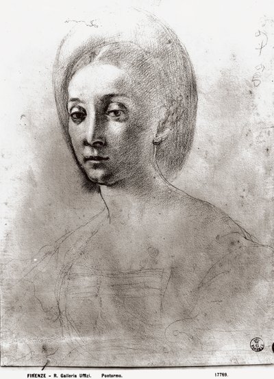 Hoofd van een Vrouw door Jacopo Pontormo