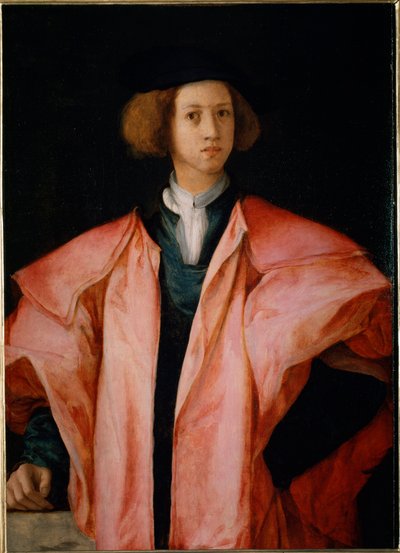 Portret van een jonge man, waarschijnlijk Alessandro de