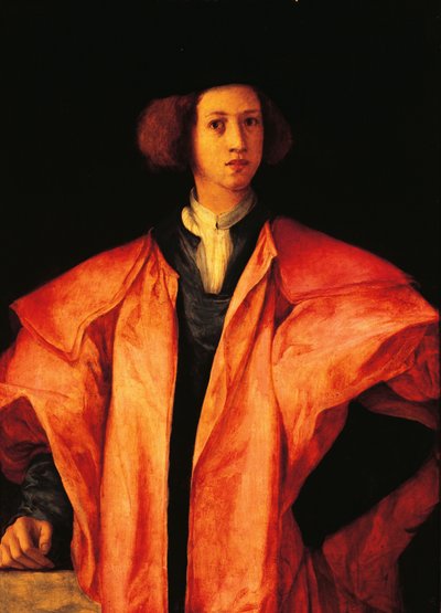 Portret van jonge man, misschien Amerigo Antinori, ca. 1530, door Jacopo Carucci, bekend als Pontormo door Jacopo Pontormo